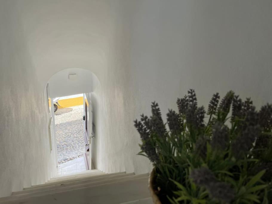 Casa Da Oliveira Apartment Evora Bagian luar foto